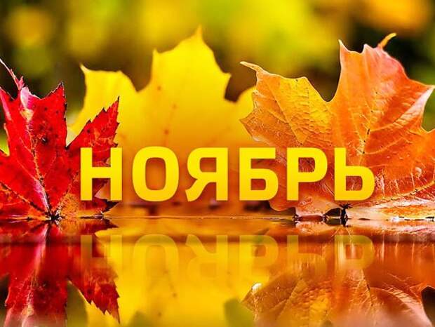 novemberr.jpg novemberr.jpg