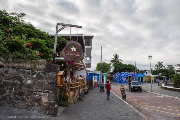 Галапагосы. Остров Санта Фе galapagos06 Галапагосы. Остров Санта Фе
