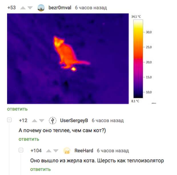 Жерло кота Жерло кота