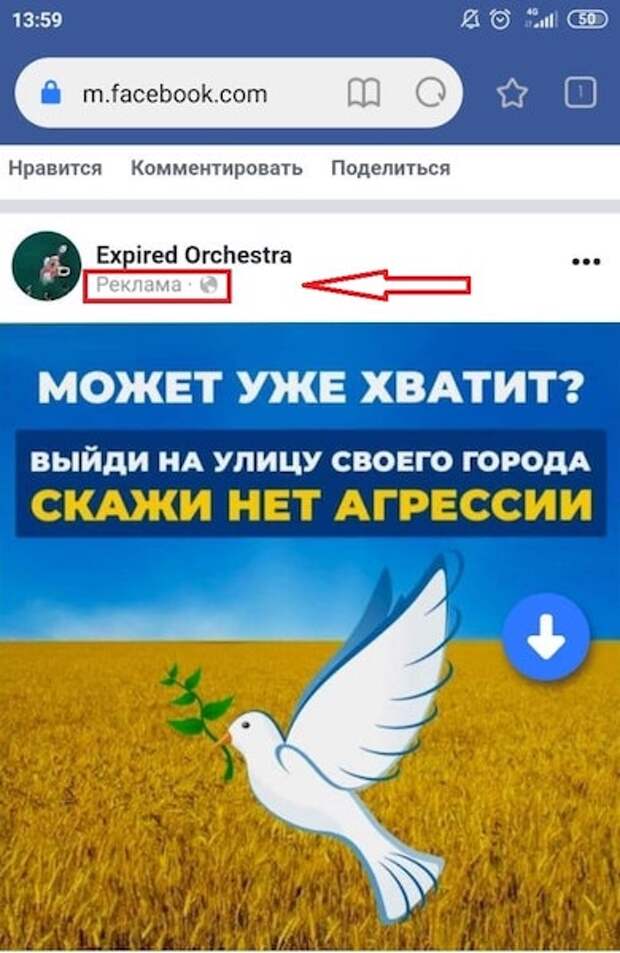 Facebook ждет жесткий разговор и санкции со стороны РКН