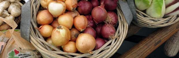 Запасов лука на складах в Мангистау достаточно – акимат