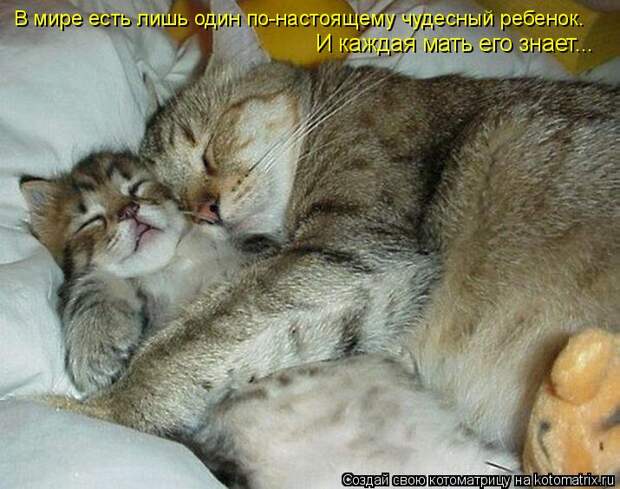 В мире есть лишь один по-настоящему чудесный ребенок.  И каждая мать его знает...