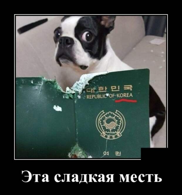 Демотиваторы Демотиваторы