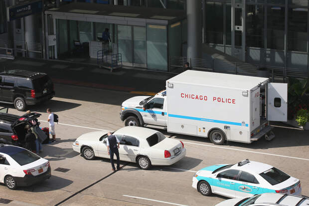 Пассажир спрятал в багаже тушу обезьяны и был пойман в аэропорту США