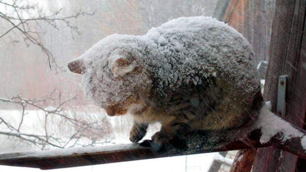 Только бы успеть!