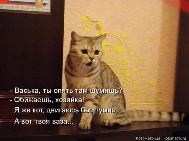 kotomatritsa_e (700x524, 296Kb)