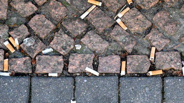 «Считается правонарушением»: какой штраф может грозить за брошенный из машины окурок