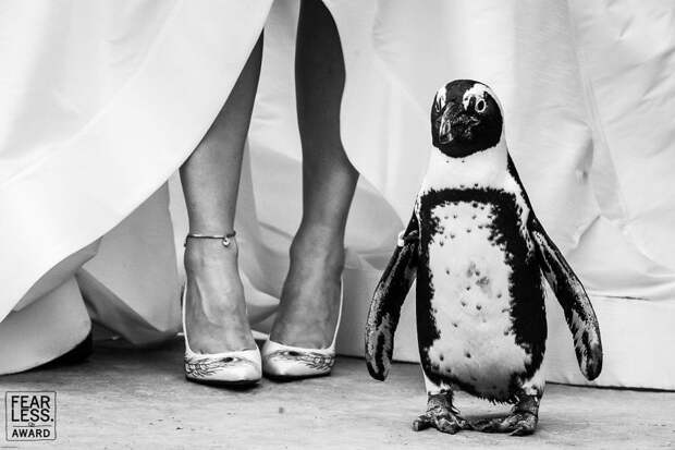 https://static.boredpanda.com/blog/wp-content/uploads/2018/12/20-5c179d6646941__880.jpg