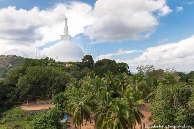 Колыбель буддизма на Шри-Ланке путешествия, факты, фото