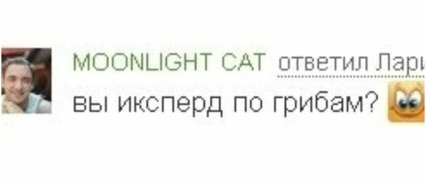 Учись пока меня не забанили, или как правильно писать по грамотейски Учись пока меня не забанили, или как правильно писать по грамотейски галинастоп, грамотеи, куртка бейна, смешно, что делается, юмор