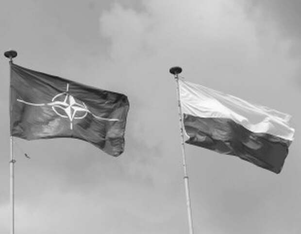 Польша проговорилась о безумных планах на Украину