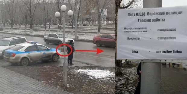 25 мощных приколов для поднятия настроения на всю неделю