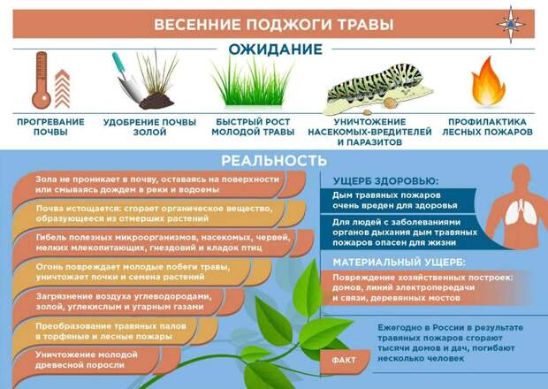 Весенний пал травы: мифы и реальность