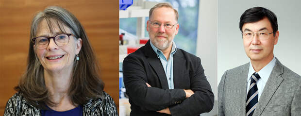 Рис. 1. Лауреаты Нобелевской премии по физиологии 2025 года