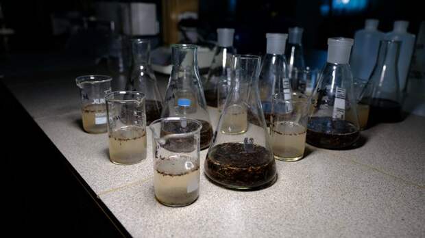 Химический след сибирских рек позволяет датировать лесные пожары