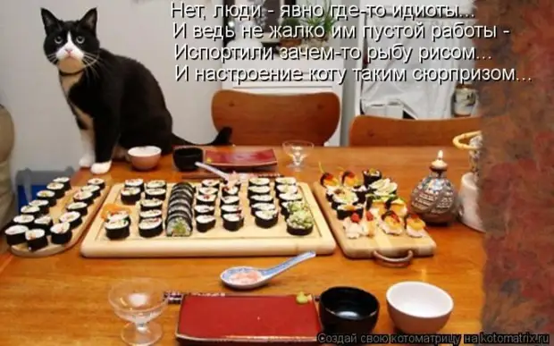 Мысли вслух :) 23 пушистые мыслишки