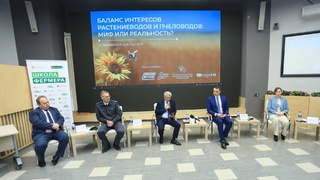 Пленарная дискуссия / Фото: Екатерина Смолихина / amic.ru