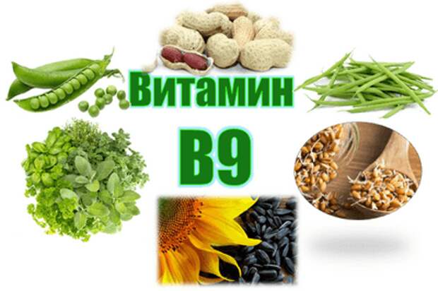 Витамин В9 в продуктах