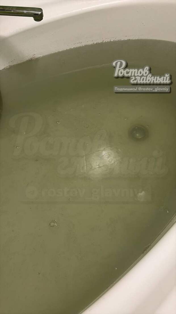 Ростовчанка пожаловалась на зеленую воду из-под крана