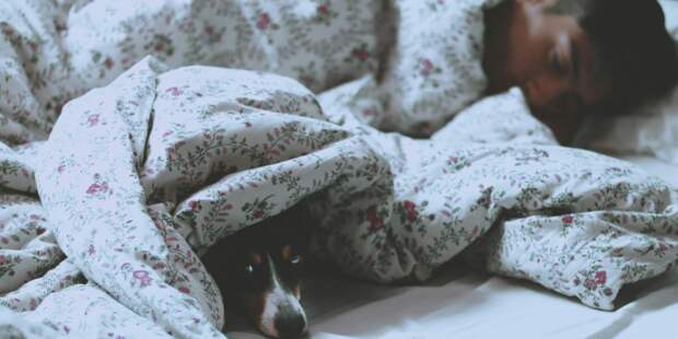 Врачи и эксперты по гигиене назвали оптимальную частоту смены постельного белья
