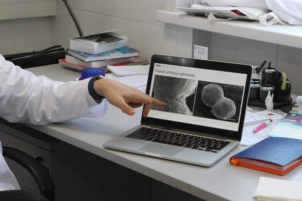 Русские ученые создали живой кардиостимулятор из клеток