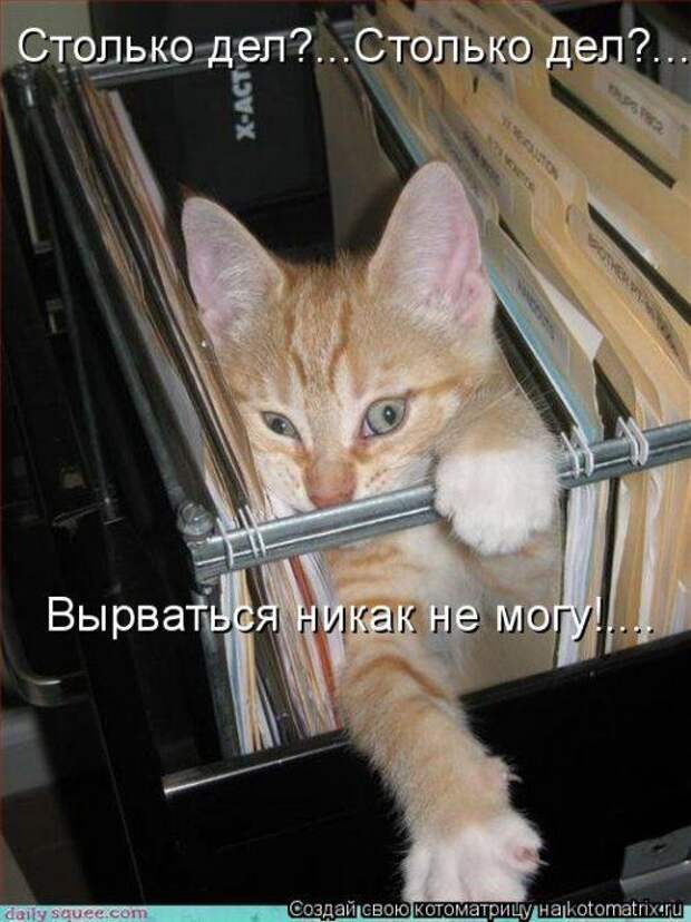 Мысли вслух :)