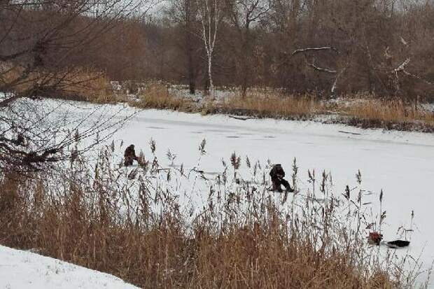 В Роспотребнадзоре тамбовчанам рассказали, как уберечься от переохлаждения и обморожения