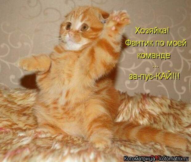 Новая котоматрица (37 шт)