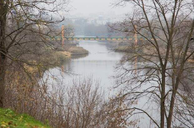 Сколько тамбовчане должны банкам, незаконная продажа полигона и как поступали с конфискованным самогоном в Тамбовской губернии: что писали про область федеральные и межрегиональные СМИ