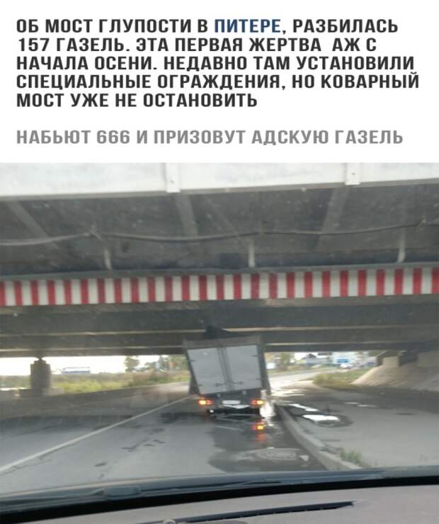 Подборка картинок. Дневной выпуск (20 фото)