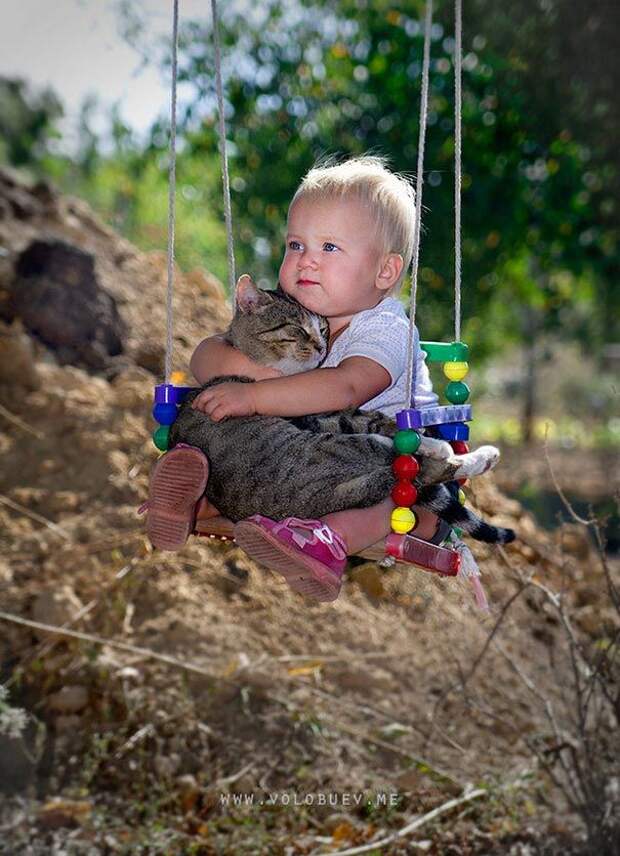 дети и коты, ребёнок и кот, kids with cats