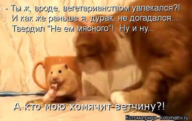 Мысли вслух :) 23 пушистые мыслишки
