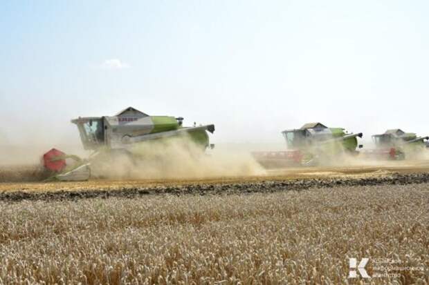 «Центр оценки качества зерна» проверит около 700 тысяч тонн крымской пшеницы