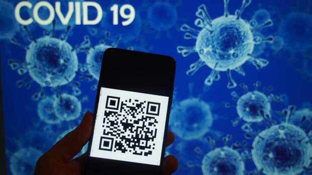 Система QR-кодов начнет действовать для входа на вокзалы и в аэропорты в Хабаровском крае