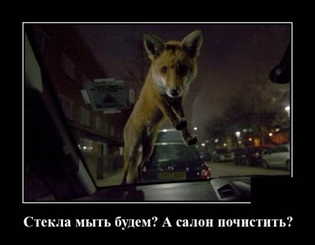 www.vsyako.net
