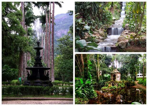 Один из старейших ботанических садов мира (Rio de Janeiro Botanical Garden). | Фото: ru.wikipedia.org.