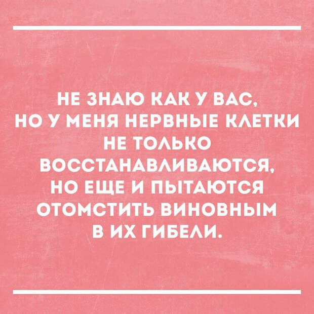 Подборка уморительных анекдотов