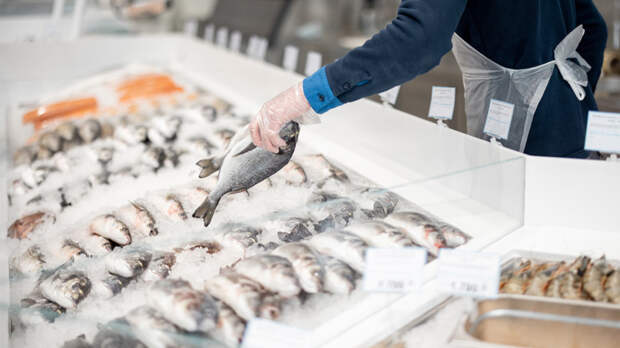 Мировые цены на рыбу в декабре 2025 года достигли максимума за два года