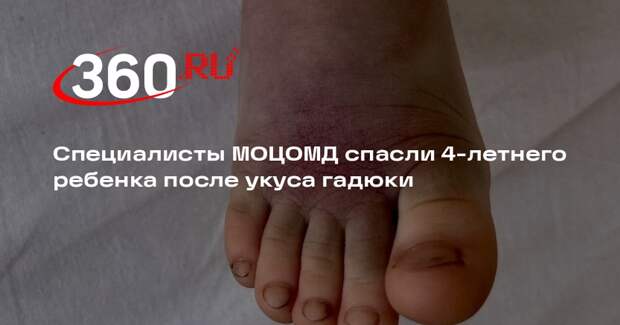 Специалисты МОЦОМД спасли 4-летнего ребенка после укуса гадюки