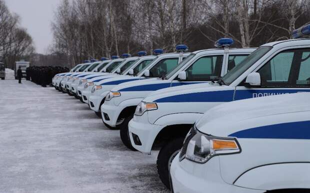 Рязанская полиция изъяла 910 единиц пиротехнических изделий в ходе рейдов