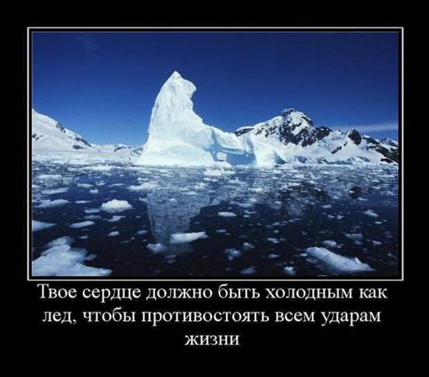 Демотиваторы со смыслом 10.04.11.