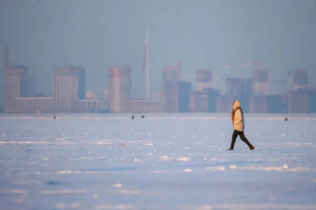 Финский залив впервые за 15 лет полностью покрылся льдом
