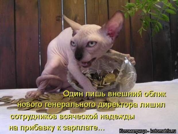 Новая котоматрица (37 шт)