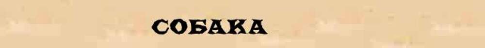 Состав слова собачонку. Разбор слова собака. Собака разбор слова по составу. Состав слова собака. Собачий по составу.