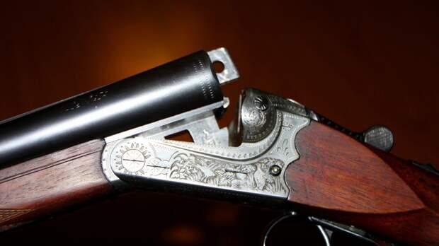 Гендиректор «Новокузнецкого ДРСУ» ранил из ружья правоохранителя во время обыска