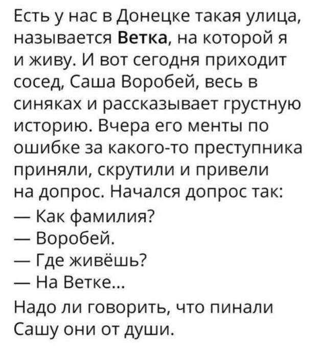 Солянка юмора из сети №5