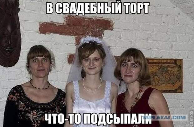 Похожее изображение