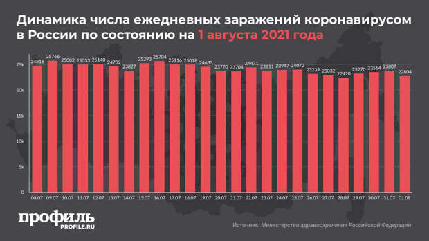 За сутки в России выявили 22804 новых случая COVID-19