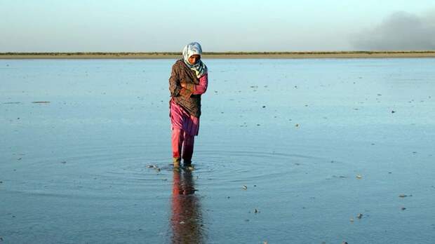Фильм «Потерянный сезон»