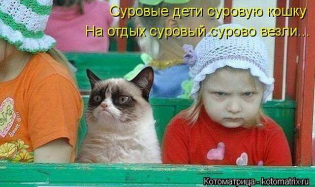 Котоматрицы(картинки с надписями)